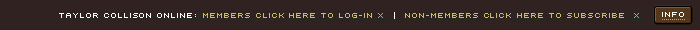 log-in